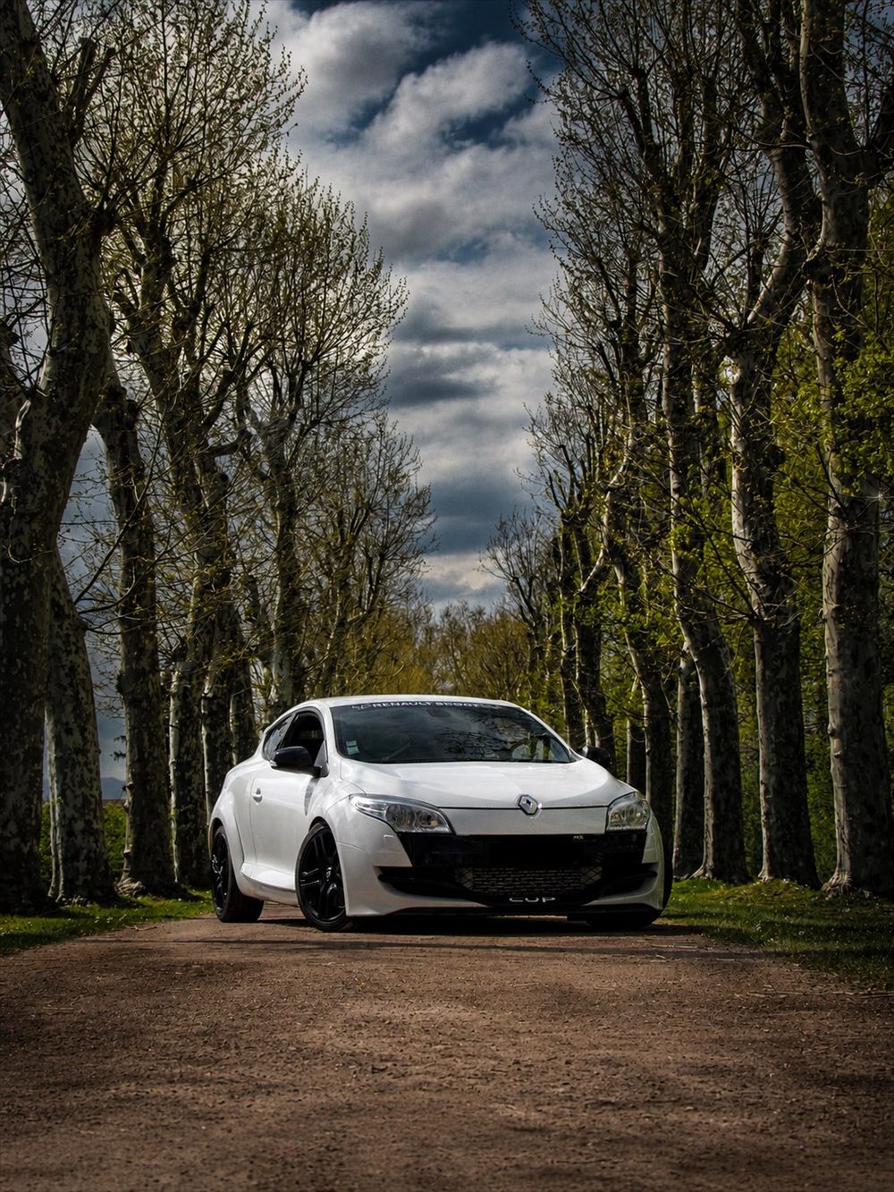 Renault Mégane R.S. blanche dans une allée d'arbres